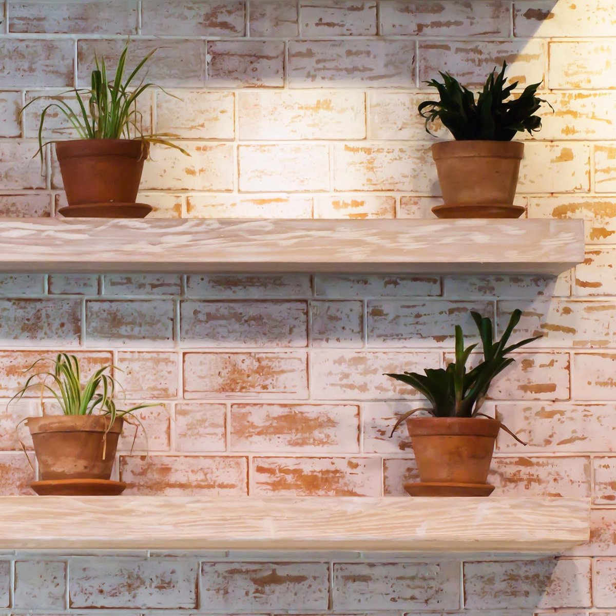 Floating Shelf Brackets - Pack of 4 - Shelf Brackets - 75mm (3 inch) Heavy-Duty Concealed Shelf Brackets - Includes Mounting Screws - For supporting wall display cases and furniture shelves