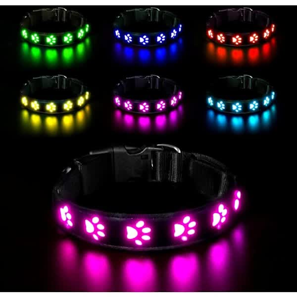 LED Luminous Dog Collar, Rechargeable and Waterproof Dog Collar, Adjustable Collar with 7 Light Modes (Colorful-M)