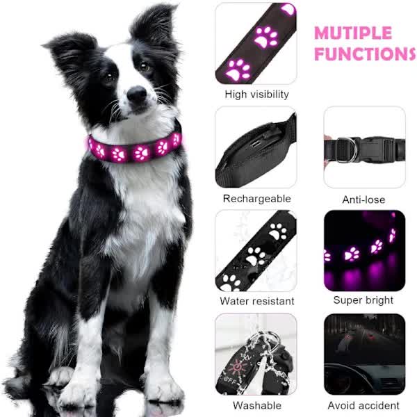 LED Luminous Dog Collar, Rechargeable and Waterproof Dog Collar, Adjustable Collar with 7 Light Modes (Colorful-M)