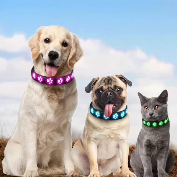 LED Luminous Dog Collar, Rechargeable and Waterproof Dog Collar, Adjustable Collar with 7 Light Modes (Colorful-M)