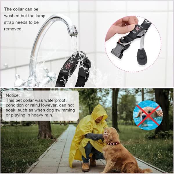 LED Luminous Dog Collar, Rechargeable and Waterproof Dog Collar, Adjustable Collar with 7 Light Modes (Colorful-M)