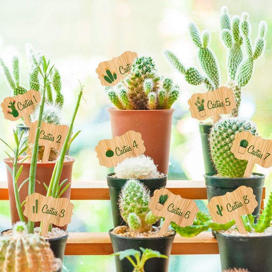 60 plant labels - Wooden plant labels - Wooden garden labels - Decorative garden labels - Suitable for seeds, herbs in pots, flowers and vegetables