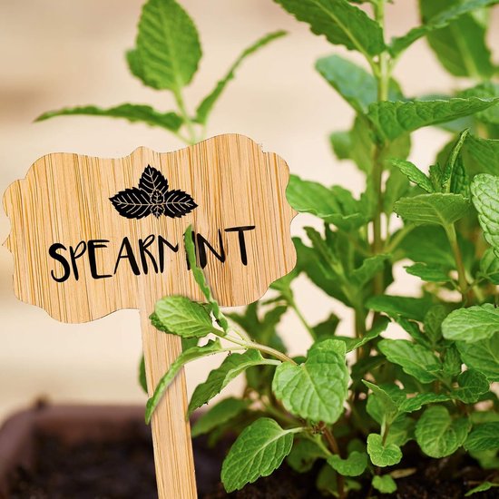 60 plant labels - Wooden plant labels - Wooden garden labels - Decorative garden labels - Suitable for seeds, herbs in pots, flowers and vegetables