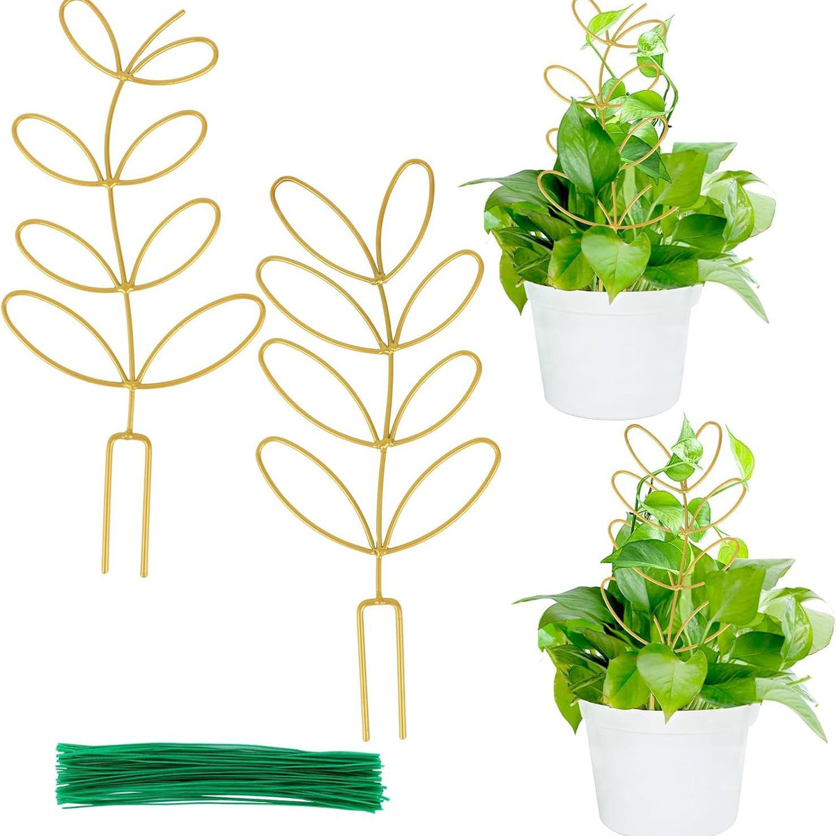 Plant Support Climbing Plants - Leaf-Shaped Plant Climbing Rack - Decorative Plant Stick for Indoors - Includes 20 Tie Straps - Gold