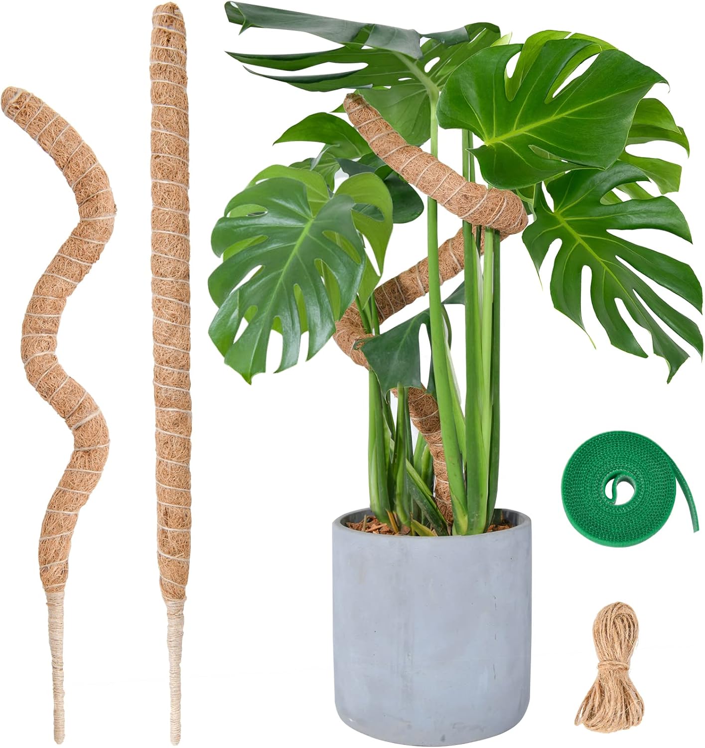 Flexible Plant Support for Climbing Plants - 60 cm Set of 2 - For Houseplants