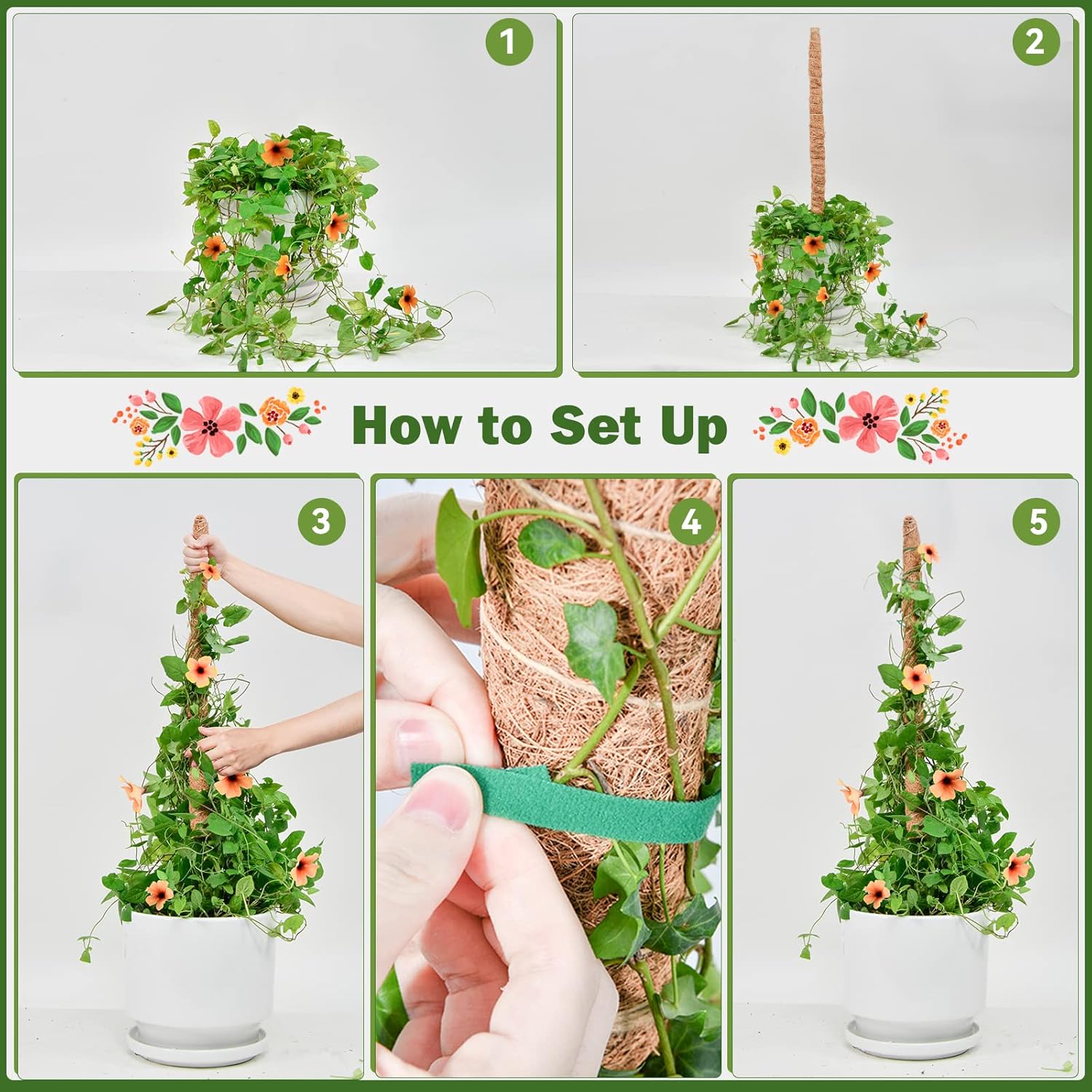 Flexible Plant Support for Climbing Plants - 60 cm Set of 2 - For Houseplants