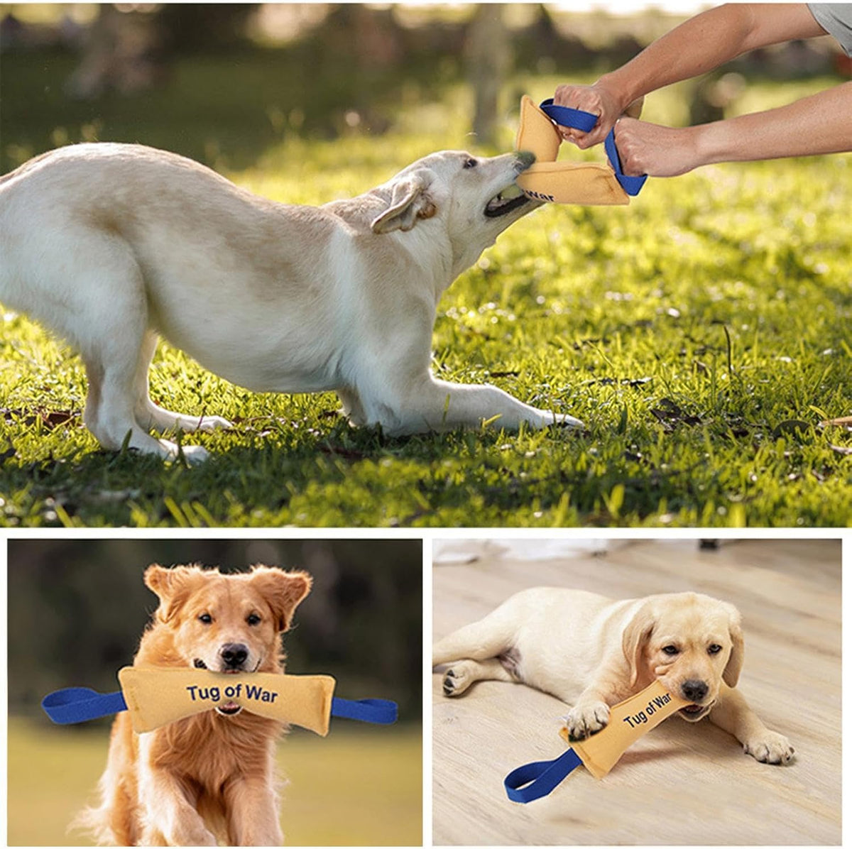 Bite Resistant Dog Toys - Heavy Duty Training Toys with Bite Resistance - Dog Tug Toys - Highly Efficient and Durable Training Aids - Yellow - One