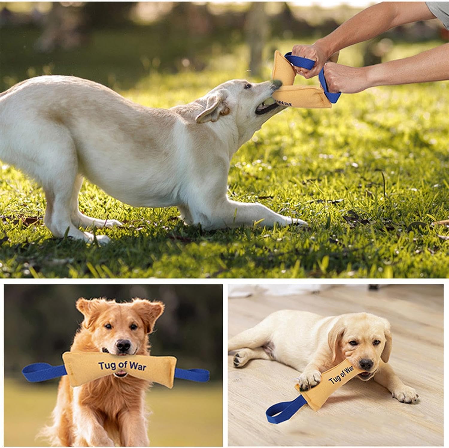 Bite Resistant Dog Toys - Heavy Duty Training Toys with Bite Resistance - Dog Tug Toys - Highly Efficient and Durable Training Aids - Yellow - One