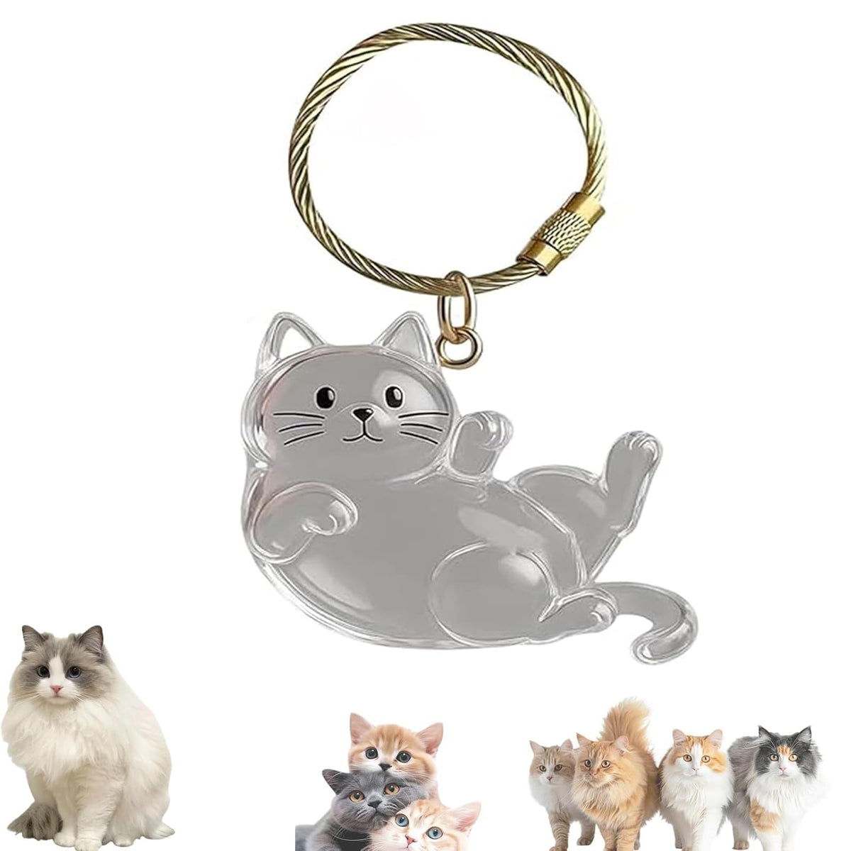 Keychain - Pet Hair - Storage Box - Pendants - Capsule Toy - Dog Hair Capsule - Memorial Pendant - Bag Keychain - Pendants - Memory Capsule Pendant - Cat Hair Collection - DIY - 1 Piece