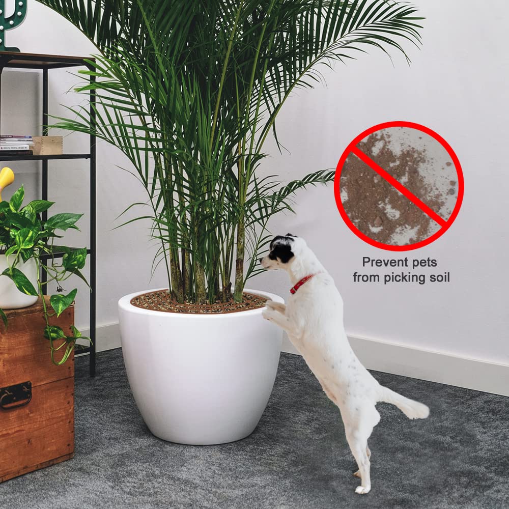Plant Protector - Flower Pot Grid - Anti-dig Mat - Root Protection - Cat-Repellent Grid - Ground Cover Plant - Flower Pot Security - Gardening - Pet-Proof - Protection Against Cats - Plant Grid - Ground Grid - Brown - 2 Pieces