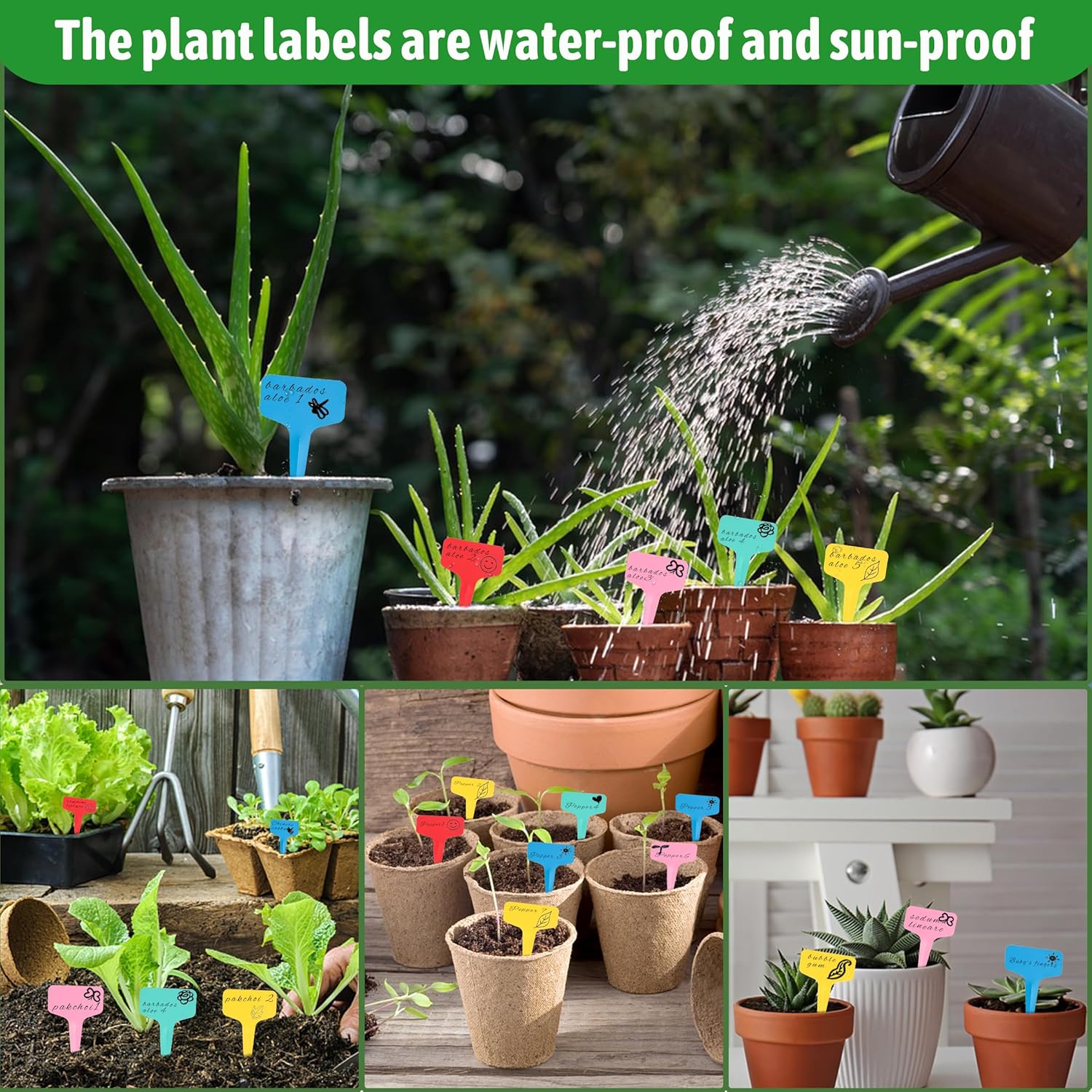 Plant labels - Plant plugs - Plant labels - Plant signs - Garden labels - Vegetable garden - Plugs - Sowing labels - Herb plugs - Growing labels - Plant labels - Name tags - Writing boards - T-labels - 6x10 cm - Multicoloured - 200 pieces