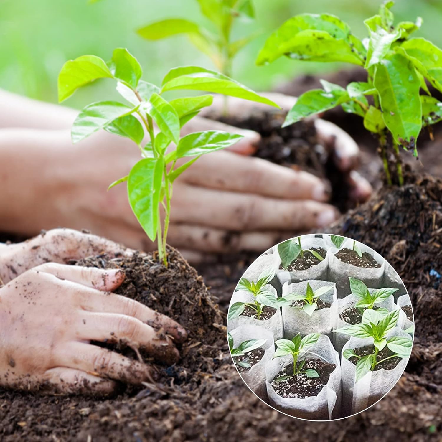 Grow Bags - Gardening - Grow Pots - Vegetable Garden - Seedlings - Plant Bags - Non-woven Grow Bags - Growing Set - Breathable Fleece - Vegetable Garden - Vegetable Gardening - Sowing - Cuttings - Garden Plants - Growing Tray - Flower Pot Bag - Sustainabl