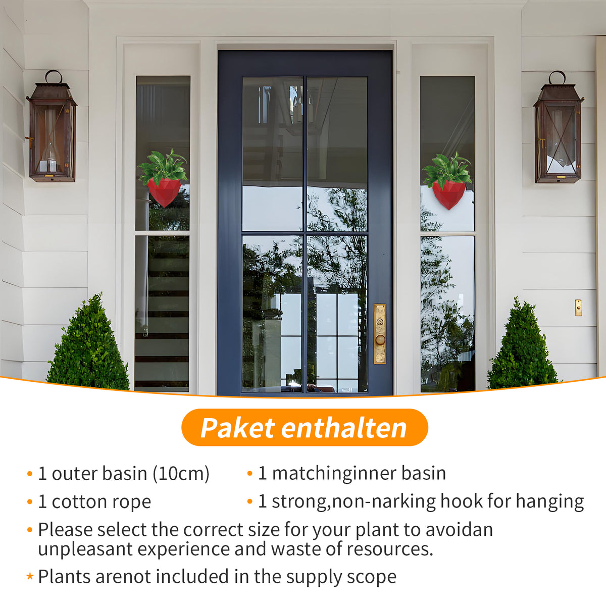 Wall Mounted Planter - NO DRILLING,Houseplant Wall Display Ideas,3D Printed Wall Planter with Drainage Tray