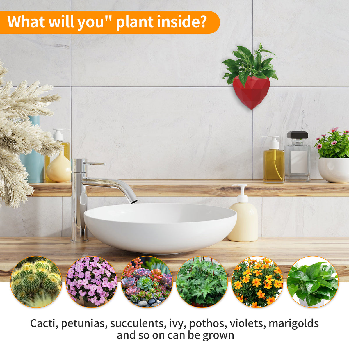 Wall Mounted Planter - NO DRILLING,Houseplant Wall Display Ideas,3D Printed Wall Planter with Drainage Tray