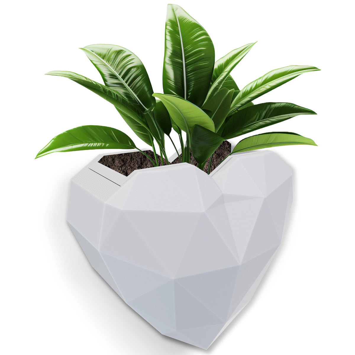Wall Mounted Planter - NO DRILLING,Houseplant Wall Display Ideas,3D Printed Wall Planter with Drainage Tray