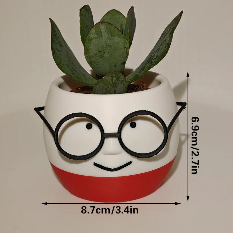 Simple and cute 3D printed flower pots with glasses – decorate your home with these!