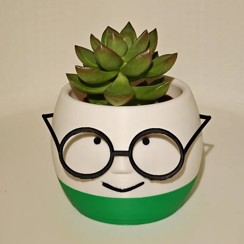 Simple and cute 3D printed flower pots with glasses – decorate your home with these!