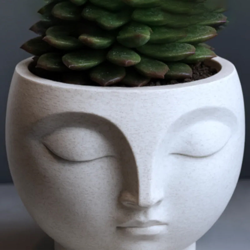 A 3D-printed, serene flowerpot, an eye-catching decorative piece for modern interior spaces. Suitable for planting small plants or succulents.
