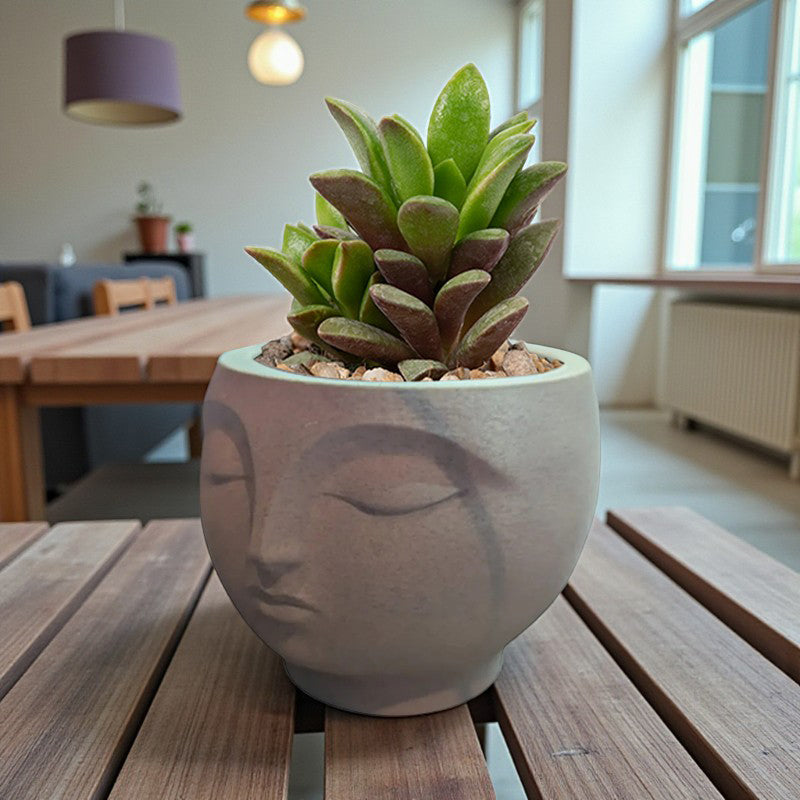 A 3D-printed, serene flowerpot, an eye-catching decorative piece for modern interior spaces. Suitable for planting small plants or succulents.