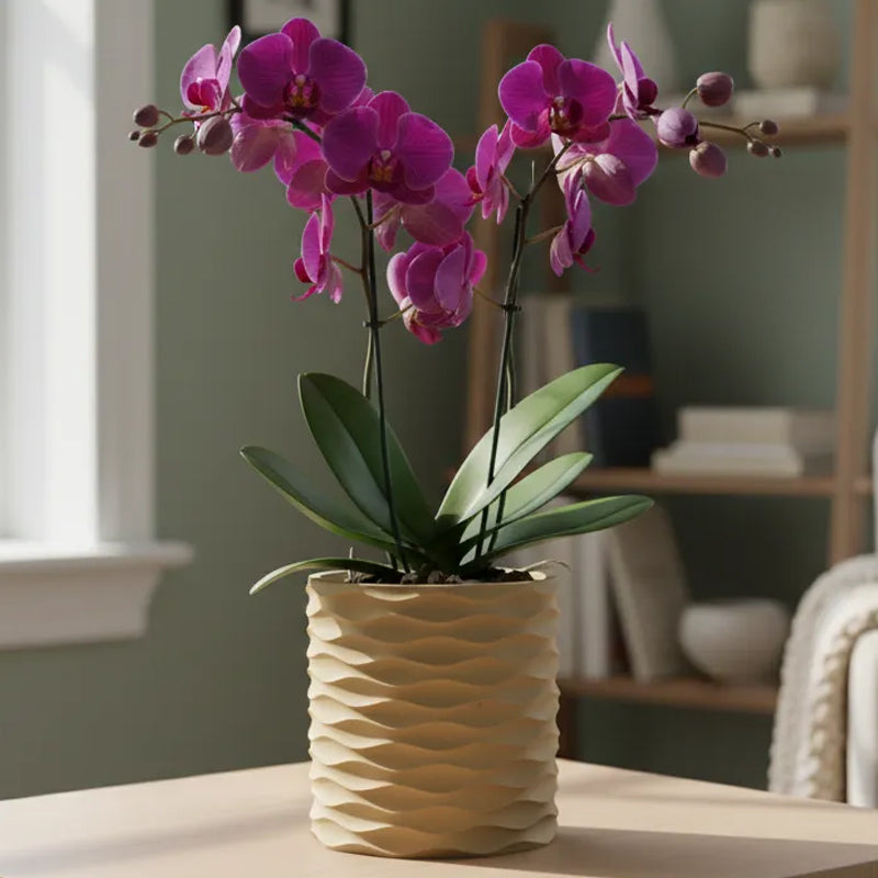 3D Printed Modern Wave Flower Pot - Water-Storing Rotating Base, Army Green, Single Piece