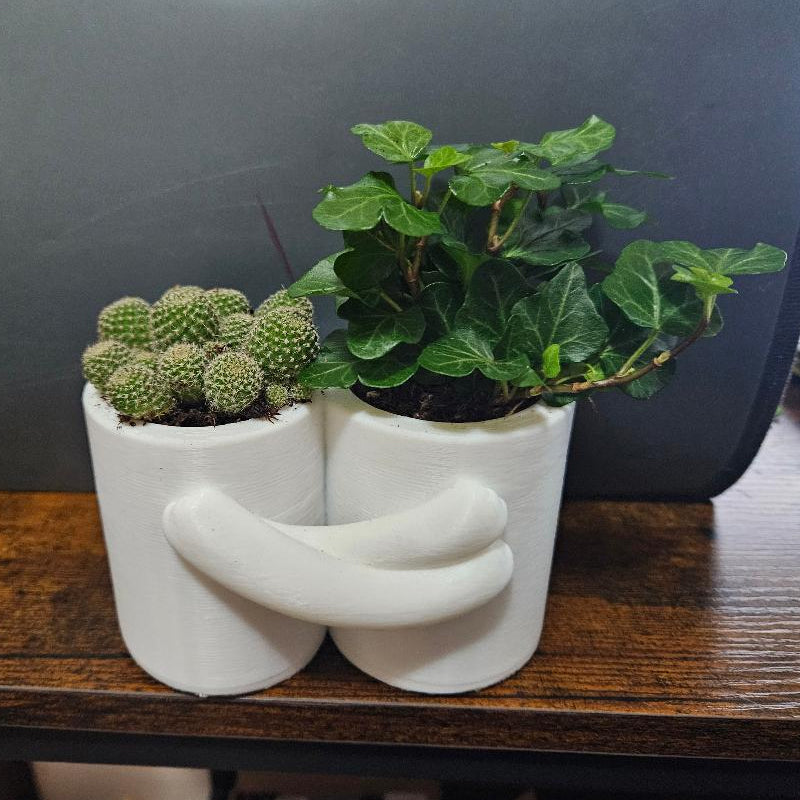 3D Printed Hug Flower Pot – Small Item, Big Heart (White)