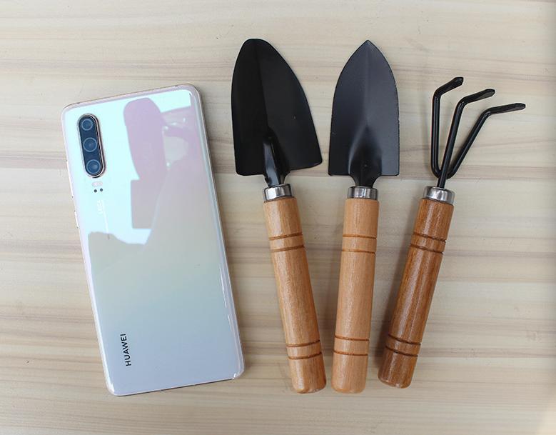 3-Piece Mini Garden Tool Set – Wooden Handle Trowel, Transplanter & Cultivator for Indoor Plants, Potted Succulents & Outdoor Gardening