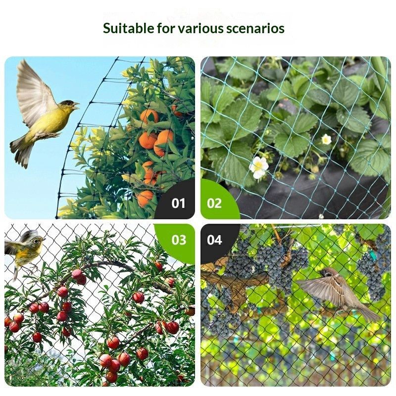 Transparentnylonmesh,4meterswideby12meterslong