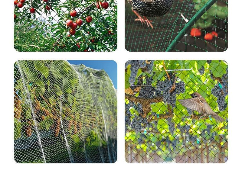 Transparentnylonmesh,4meterswideby15meterslong