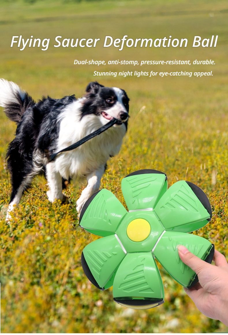 Frisbee Deformation Ball - magenta + 3 Light Version×5
