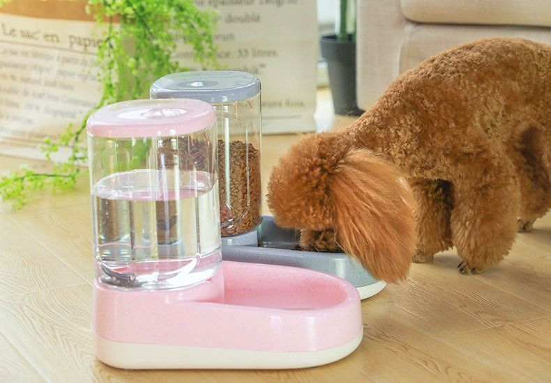Pet automatic feeder-Blue Water Dispenser