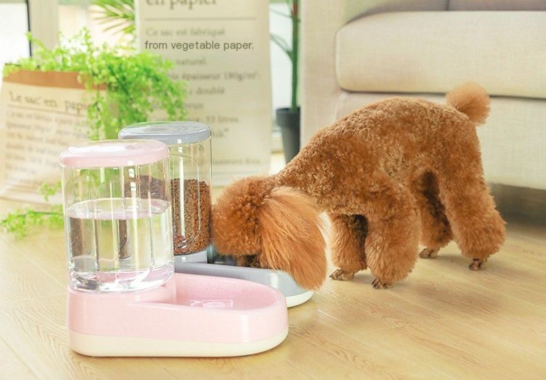 Pet automatic feeder-Pink Water Dispenser