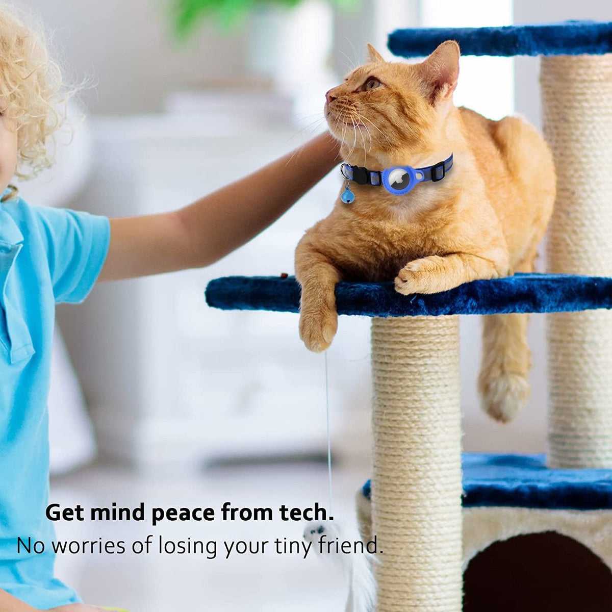 Pet positioning neck collar-Orange