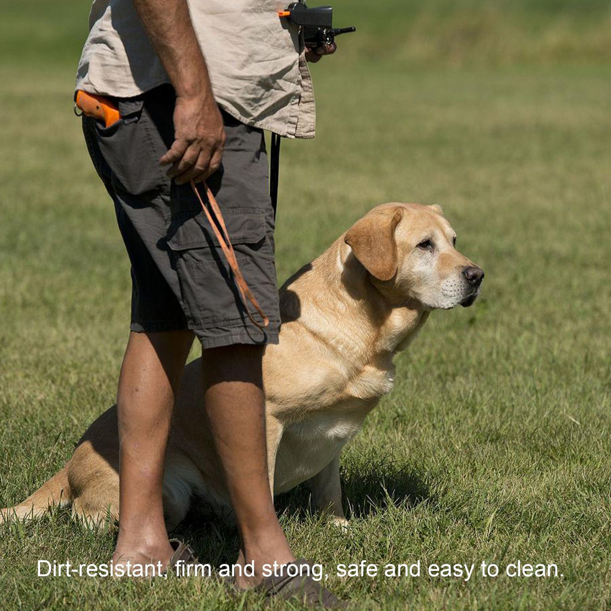 Pet snack bag-D