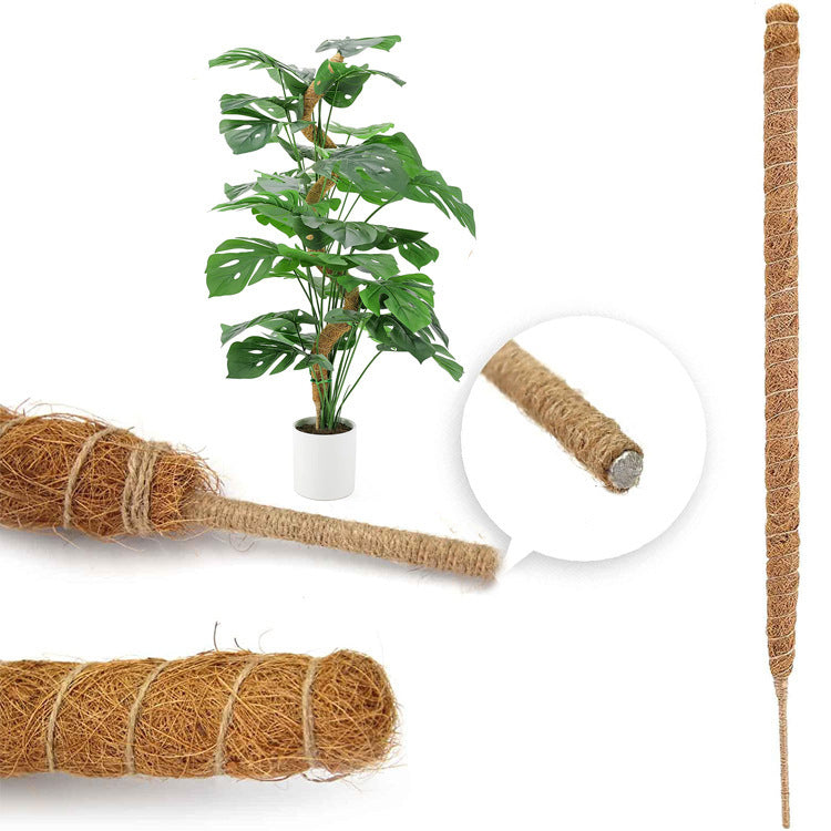 pcs Monstera moss rods for indoor plants, bendable plant holder