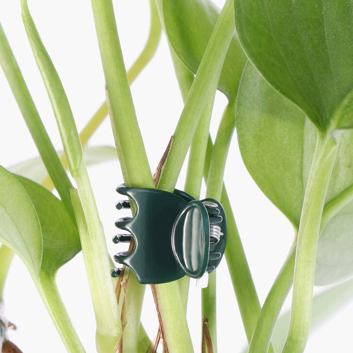 100pcs Orchid Clamps, Garden Plant Clamps for Supporting Orchid Plants