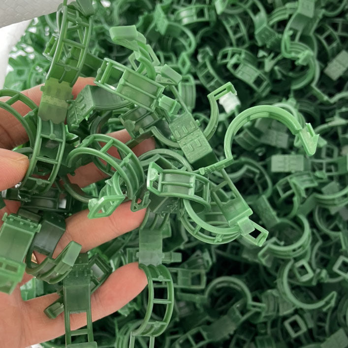 100/200/300pcs Plant Support Clips, Plant Clamps for Climbing Plants, Grafting Tools Upright Plant Growing Reusable (Green/White) Green Green 200pcs Green 200pcs