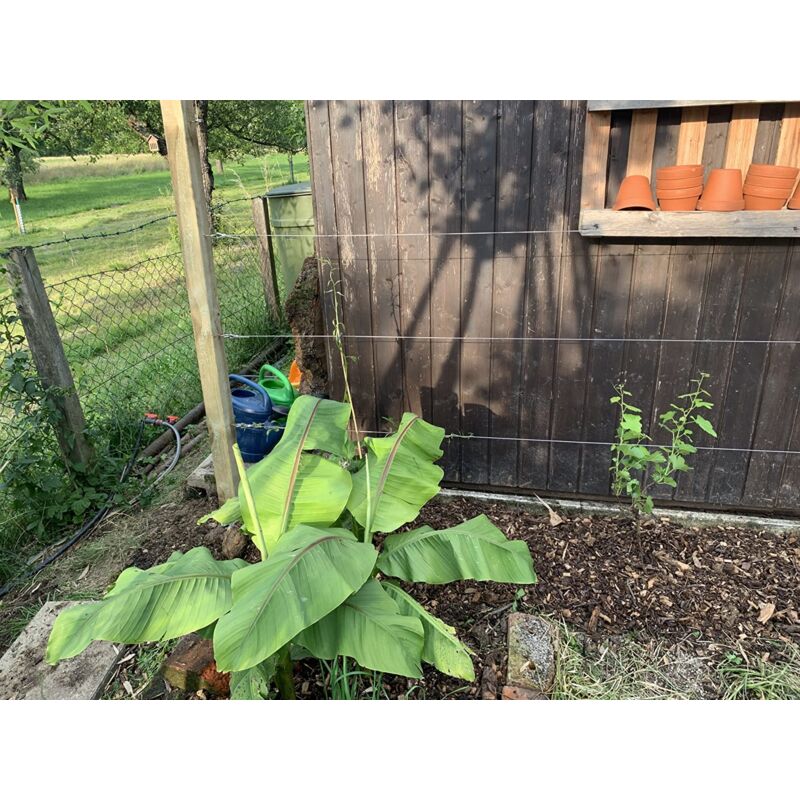 30M/2mm Stainless Steel Wire Kit with M5 Tensioner for Plants, Clothesline, Railings