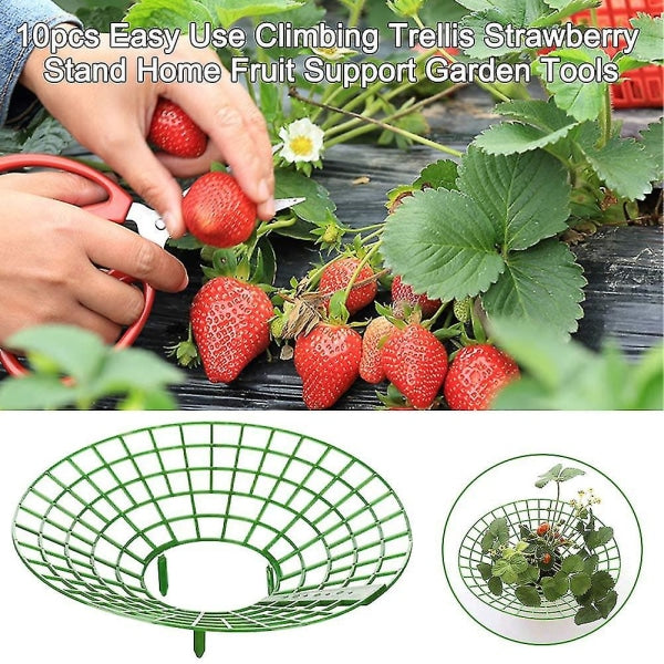 10 pcs Strawberry Plant Support Cages Climbing Rack Strawberry Rack Frame Holder Balcony Planting Rack Fruit Support Garden