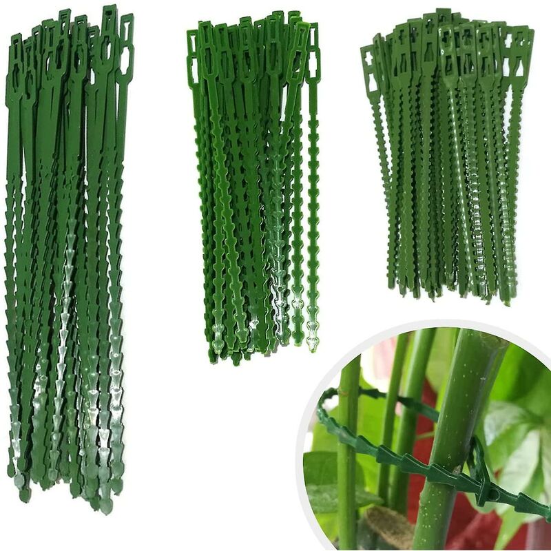 160 pcs Plant Ties Adjustable Garden Ties, Plant Ties and Supports, Helps Support Plants and Shrubs, Flexible Plastic Ties (3 Sizes)