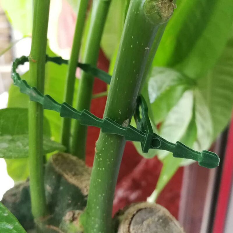 160 pcs Plant Ties Adjustable Garden Ties, Plant Ties and Supports, Helps Support Plants and Shrubs, Flexible Plastic Ties (3 Sizes)