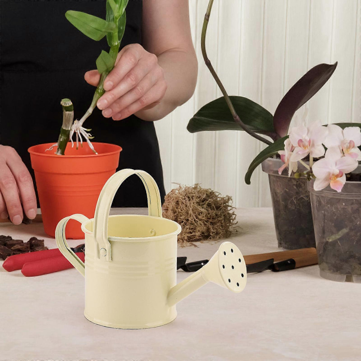 100% New, Mini Iron Watering Can, Spray Bottle, Metal Forging with Handle, Sprinkler Shower Pink