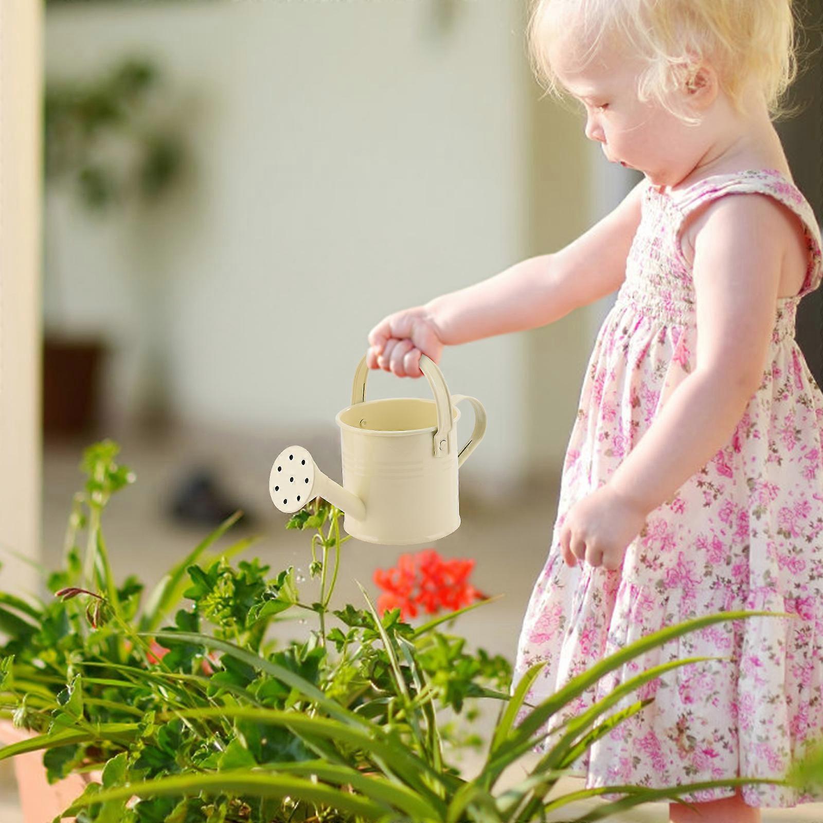 100% New, Mini Iron Watering Can, Spray Bottle, Metal Forging with Handle, Sprinkler Shower Pink