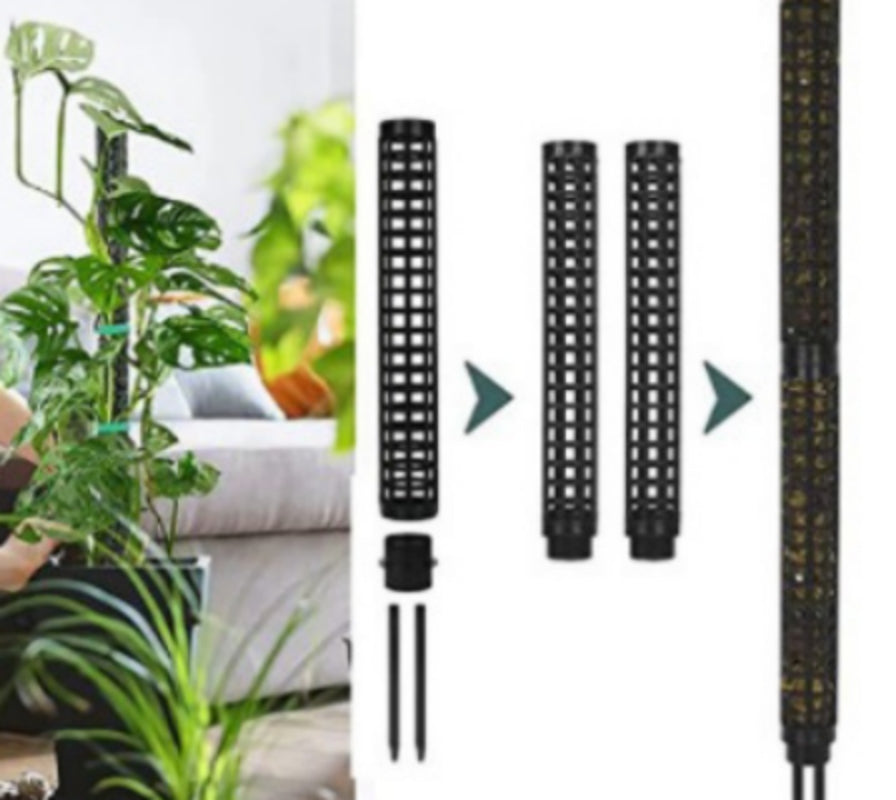 Moss stakes for climbing plants Black Variety