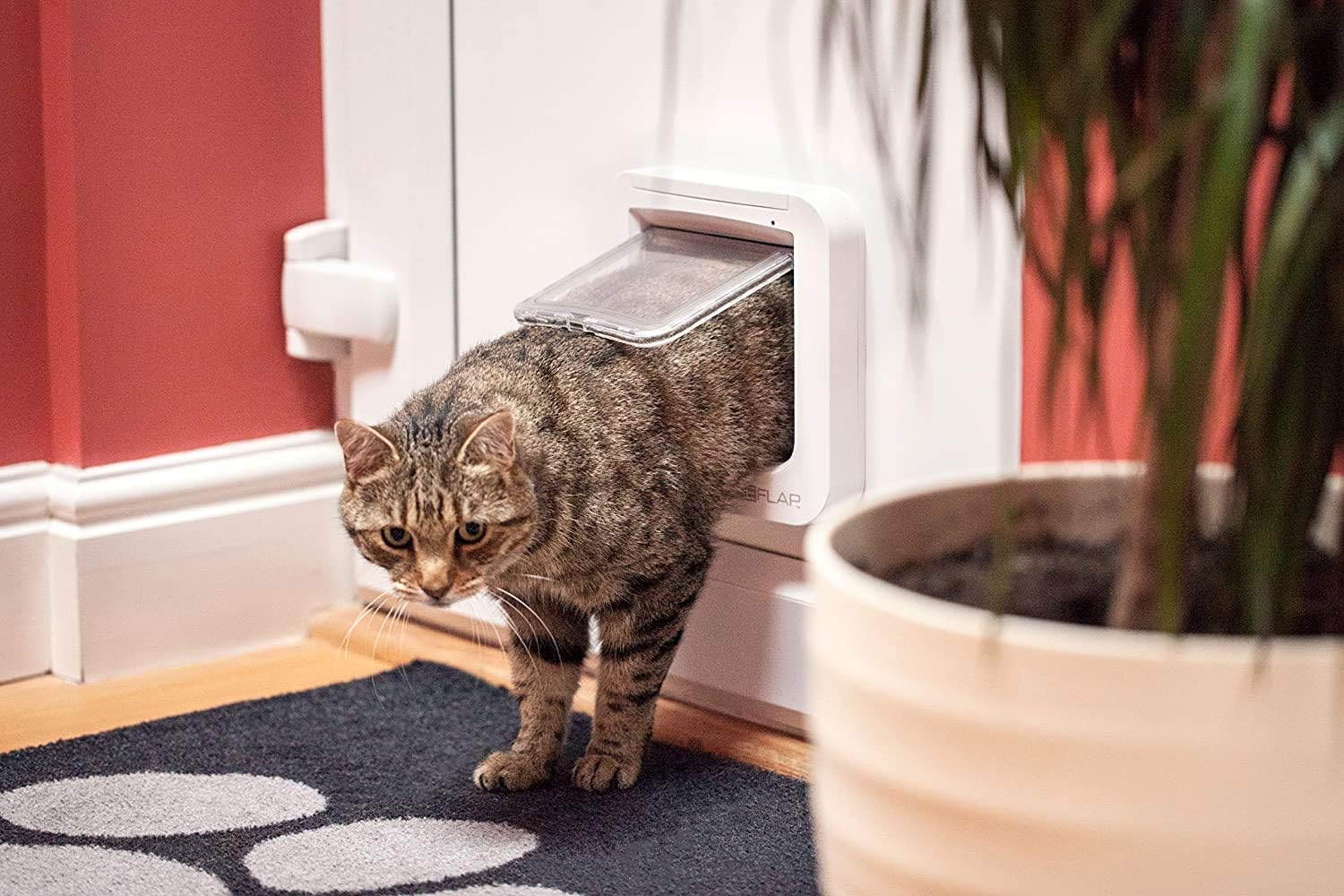 Cat Mate cat flap, white, comfortable for cats to get in and out