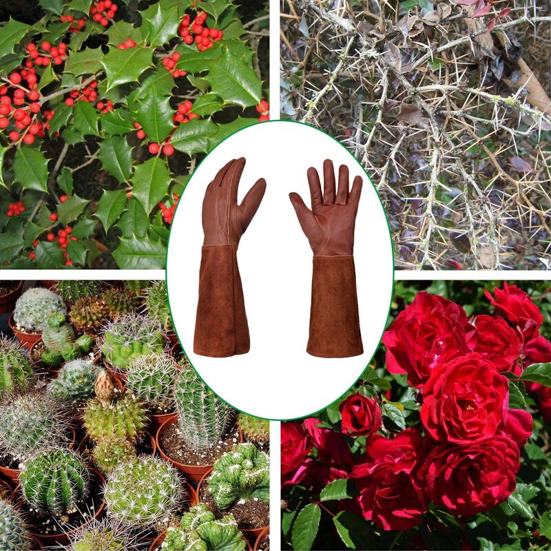 Thorn-proof gardening gloves for women, long gardening gloves, rose pruning gloves for women