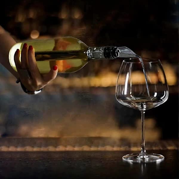 2-pack Wine Cooler Wine Bottle Cooler Stainless Steel Wine Chiller Wine Decanter with Wine Aerator