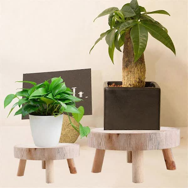 Mini Wooden Pallet Display Plant Stand Decorative Wooden Plant Pallet Bonsai Holder for Indoor Outdoor Home Garden C