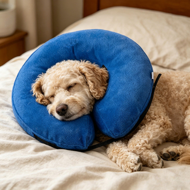 Inflatable Dog Cone Collar Alternative, Soft Dog Cone for Small Medium Large Dogs and Cats, Neck Recovery ECollar After Surgery,S