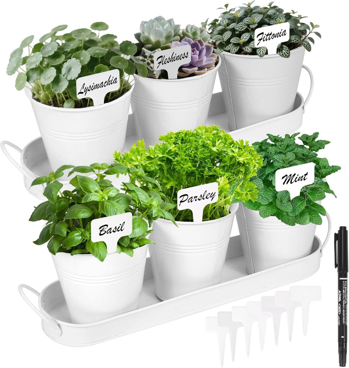 Herb Garden Planter Indoor Kit – 6 Metal Pots with 2 Trays for Windowsill &amp; Kitchen Counter – Modern Decorative Indoor Planters for Herbs, Succulents &amp; Small Plants, White