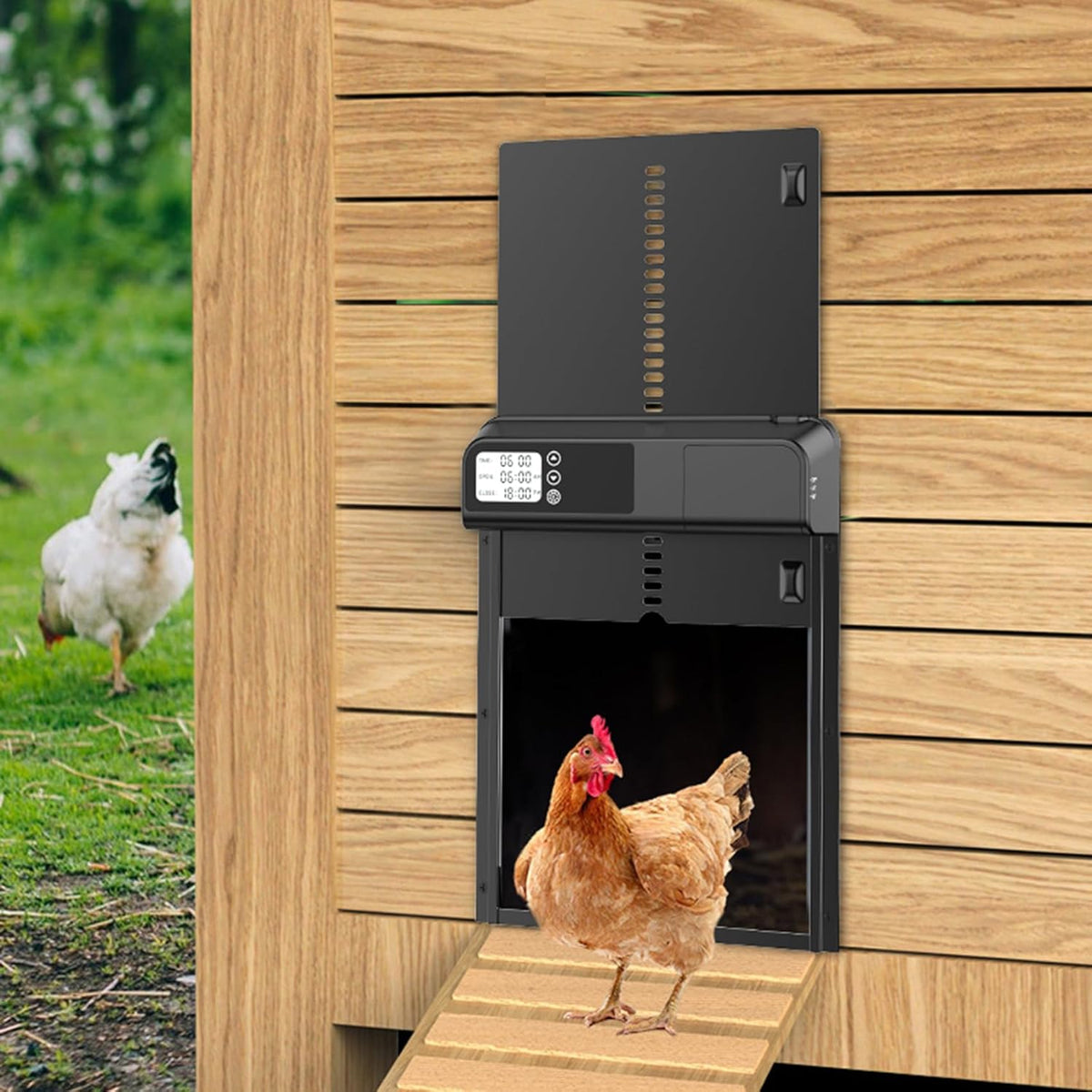 CARLA HOME Automatic Chicken Coop Door with Timer &amp; LCD Screen, Anti-Pinch Safety, Easy Battery Operation &amp; Weatherproof for Outdoor Coops